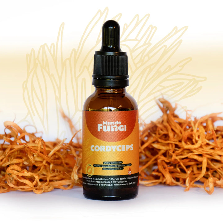 Extracto Cordyceps - Gotas Ultra Concentrado