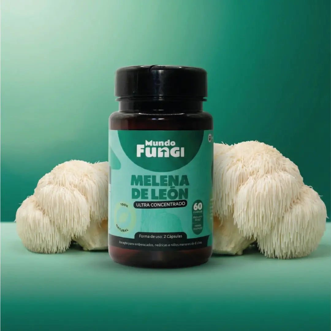 Melena de león en cápsulas de Mundo Fungi, frasco con 60 cápsulas ultra concentradas