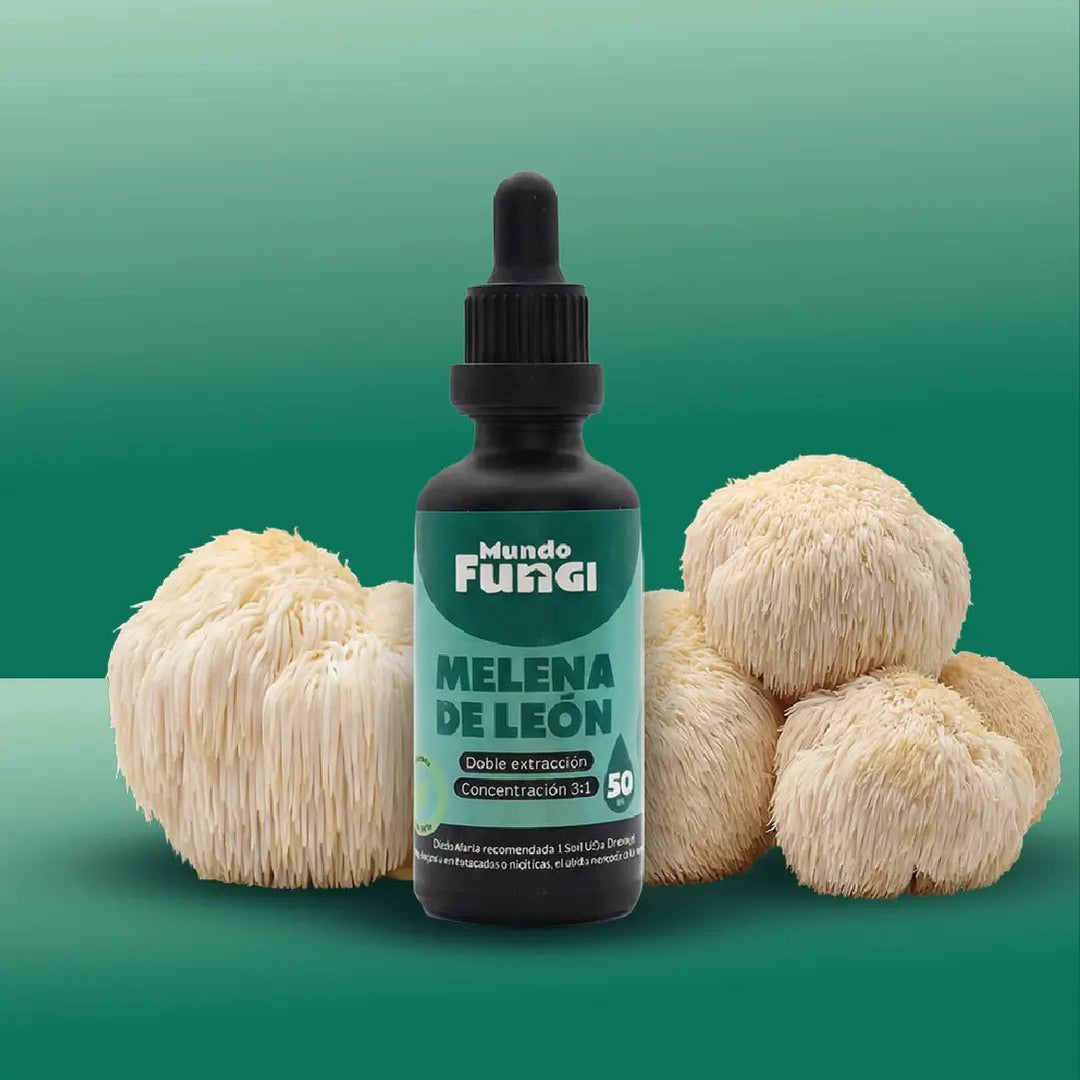 Melena de león en gotas de Mundo Fungi, frasco sublingual de 50 ml con extracto de doble extracción 3:1
