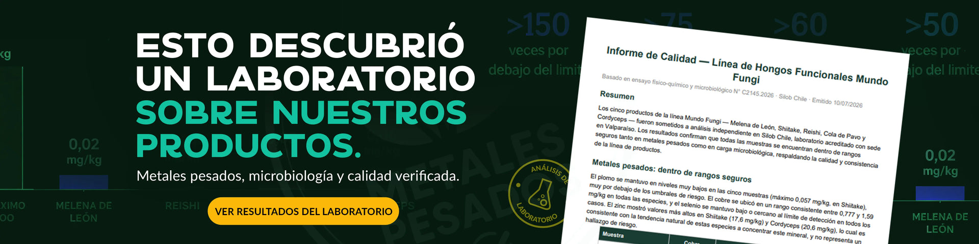 Banner promocional