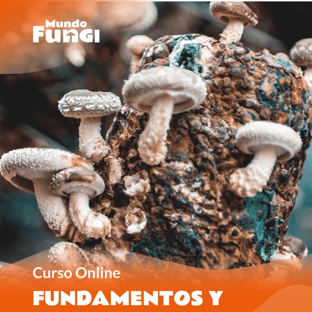 Fundamentos y Cultivo de Hongos - Curso Online