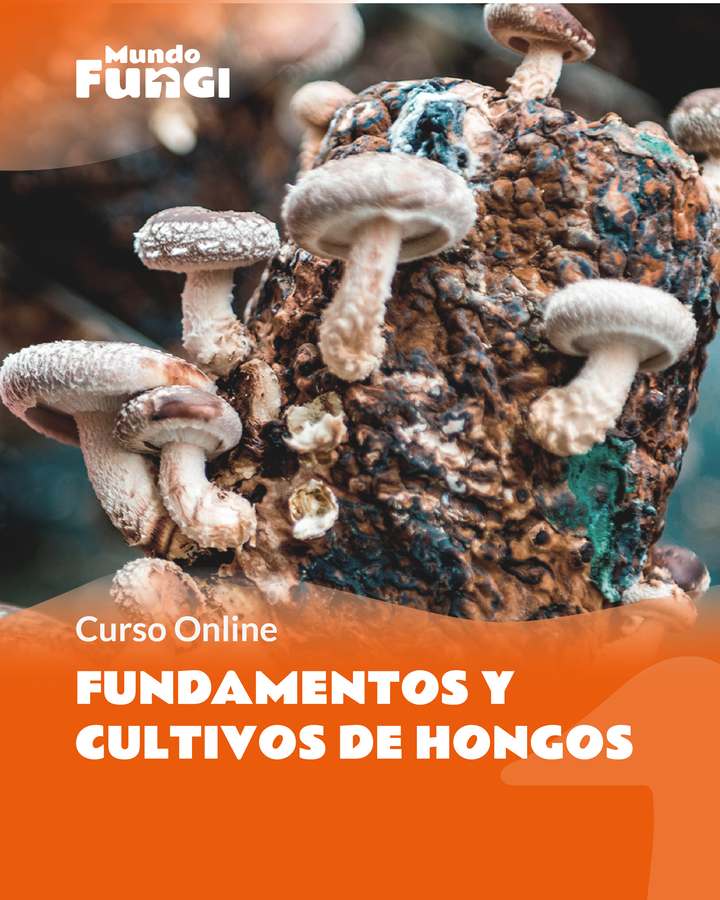 Fundamentos y Cultivo de Hongos - Curso Online