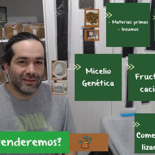 Fundamentos y Cultivo de Hongos - Curso Online