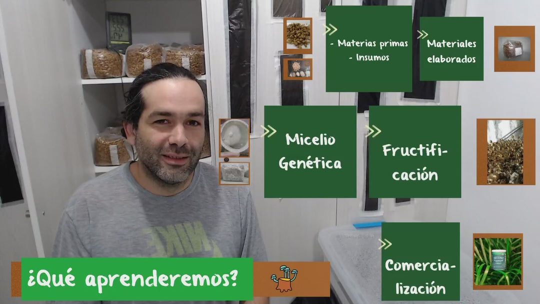 Fundamentos y Cultivo de Hongos - Curso Online